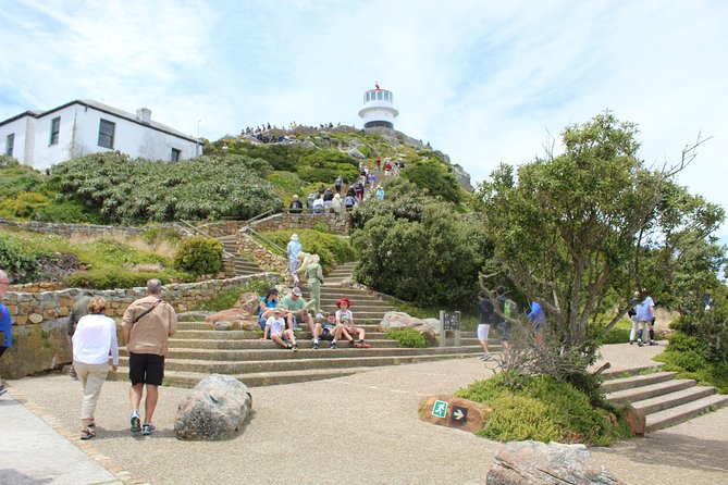 Cape of Good Hope, Penguins Private Tour From Cape Town Full Day - Pricing and Booking Information