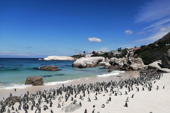 Cape Point Private Tour Withtable Mountain and Penguin Colony - Private Tour Option Details
