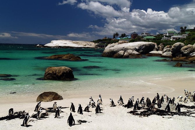 Cape Town Day Tours - Inclusions and Services