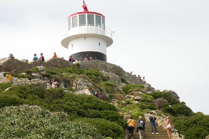 Cape Town Half Day Tour - Pricing and Booking Details