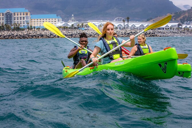 Cape Town Sea Kayaking Adventure Launching From V&A Waterfront - Logistics