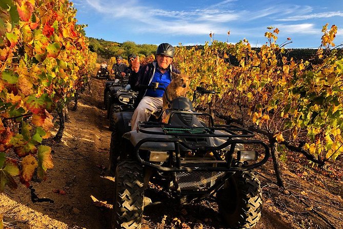 Cape Winelands: Quad Bike Tour  - Stellenbosch - Participant Requirements and Restrictions