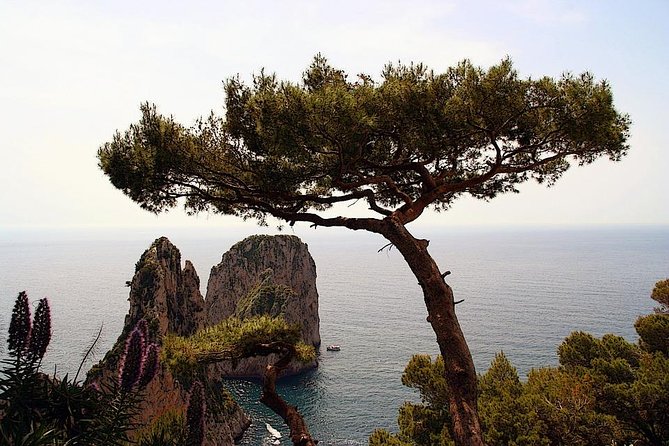 Capri Private Full Day Tour From Rome - Itinerary Customization