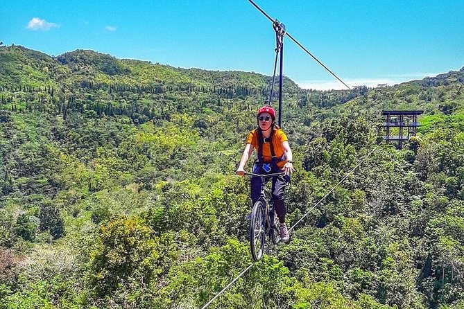 Cebu Safari Adventure - Wildlife Encounters