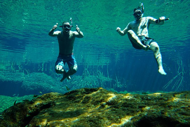 Cenote VIP Day Trip With Snorkel Guide  - Playa Del Carmen - Customer Support Access