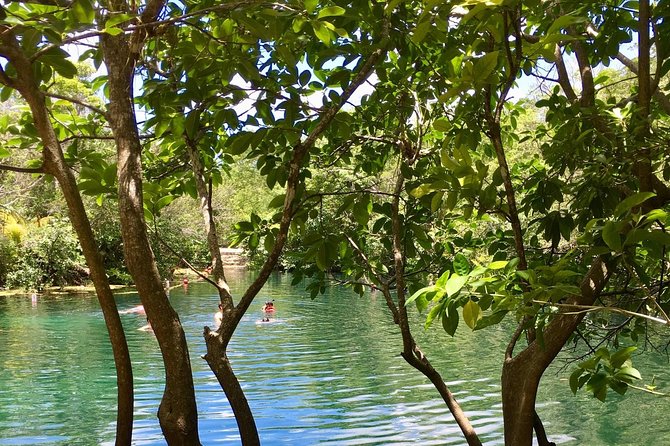 Cenotes Bike Tour With Food - Safety Guidelines