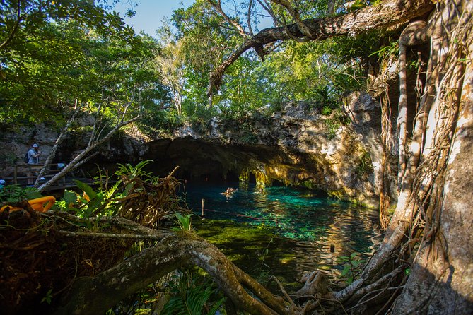 Cenotes Trail Jungle Bike Tour in Tulum With Lunch - Tour Inclusions and Exclusions