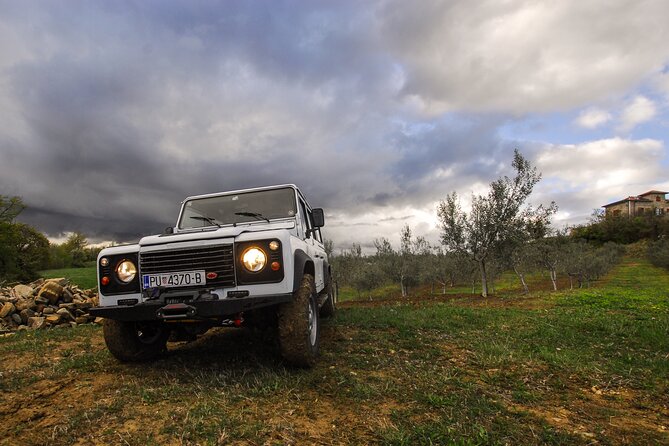 Central Istria Gastro and Off Road Half-Day Private Guided Tour - Reviews and Ratings