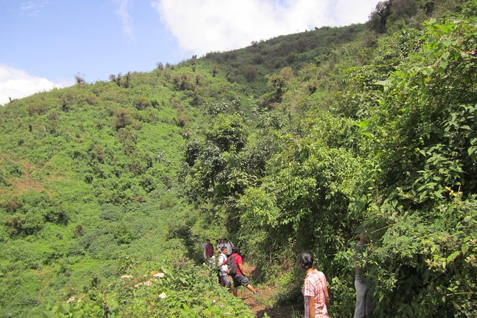 Chandragiri to Taudaha Day Hiking - Local Wildlife Spotting Tips