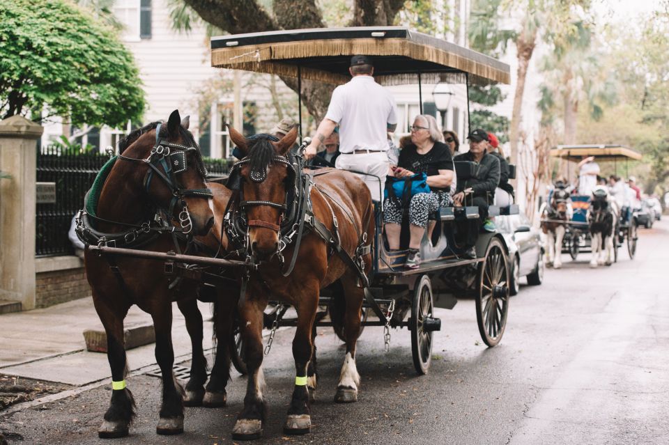 Charleston: Downtown Evening Carriage Tour - Highlights