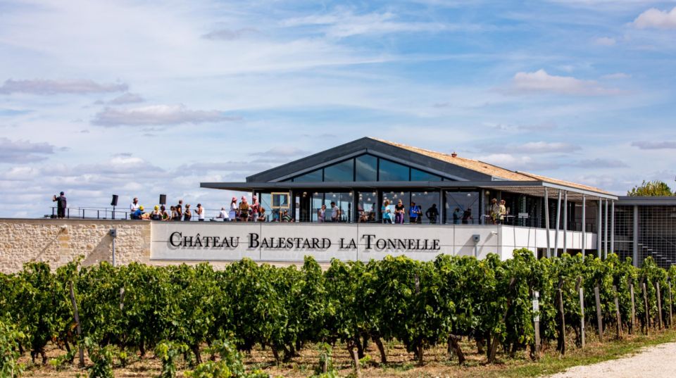 Château Balestard La Tonnelle: the Origins Tour - Vineyard History