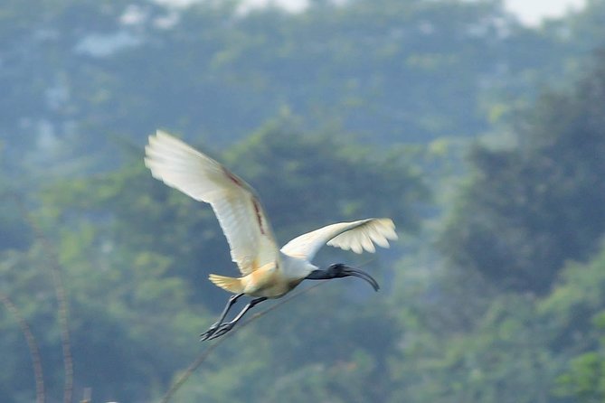 Chennai, Guided Birding And Birding Photo Trip With Spot Scope, 2 to 3 Hours - Detailed Tour Information