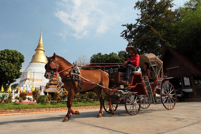 Chiang Mai and Wiang Kum Kam Private Cultural Half-Day Tour - Logistics