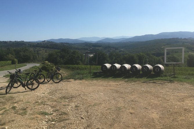 Chianti E-Bike Tour From Florence With Wine Tasting - Activity Inclusion