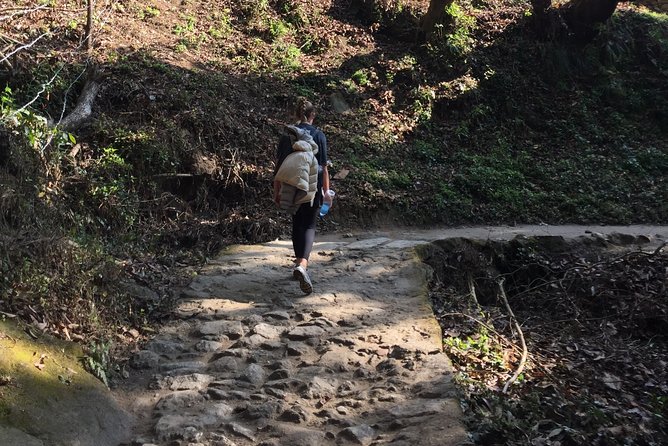 Chisapani and Nagarkot 3-Day Hiking From Kathmandu - Accommodation and Meals