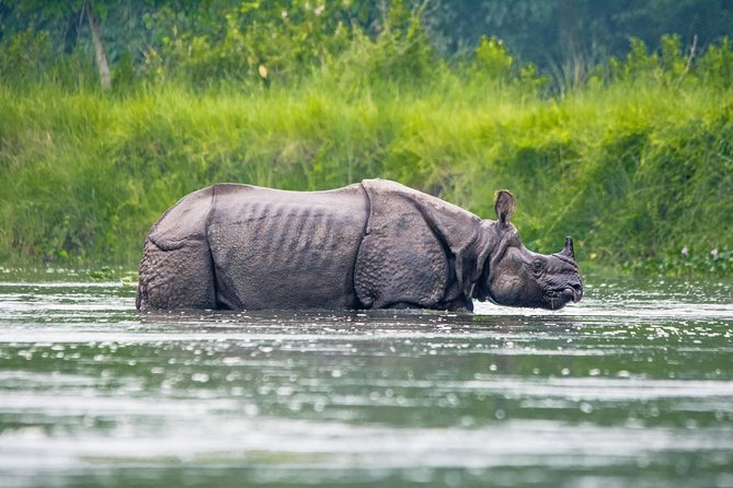 Chitwan Jungle Safari Tours - Inclusions and Exclusions