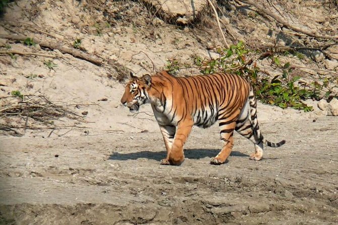 Chitwan National Park Jungle Safari Tour Package From Kathmandu - Itinerary Overview