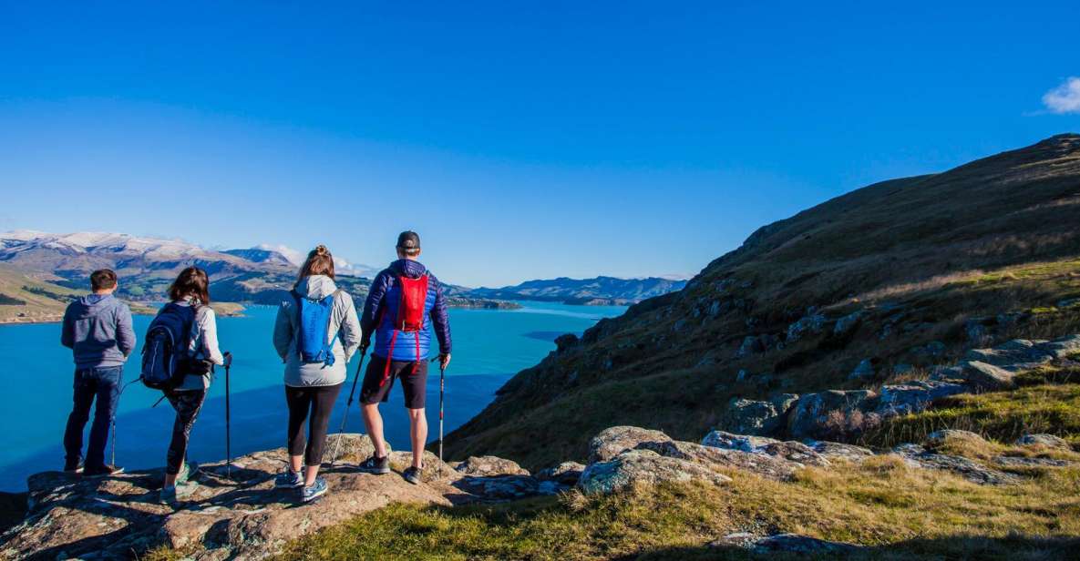 Christchurch: Guided Crater Rim Walk With Picnic - Highlights