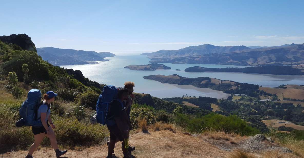 Christchurch: Packhorse Hut Guided Walk and Scenic Drive - Highlights