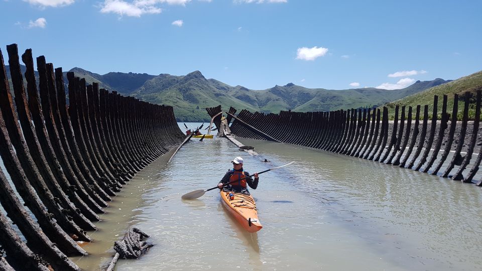 Christchurch: Sea Kayaking Tour of Lyttelton Harbour - Booking Details