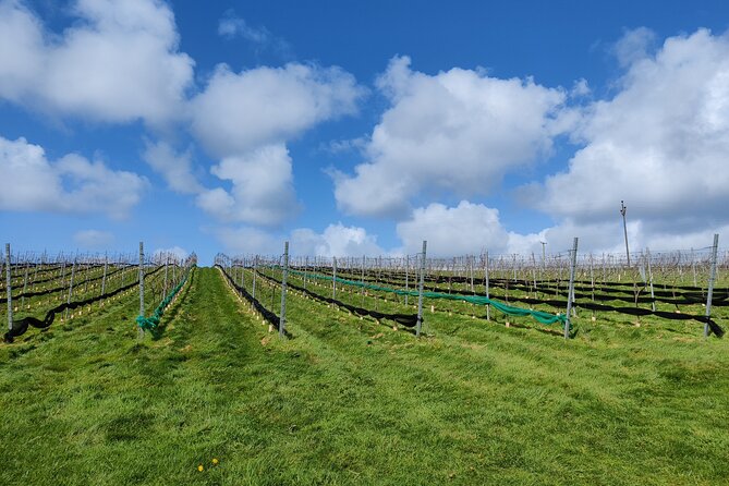 Cider Orchard and Vineyard Tour - Pricing Details