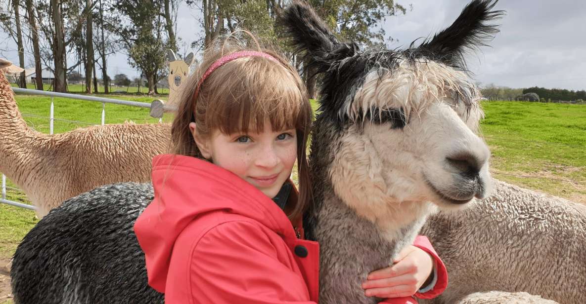 Classic Alpaca Tour in New Zealand - Experience Highlights