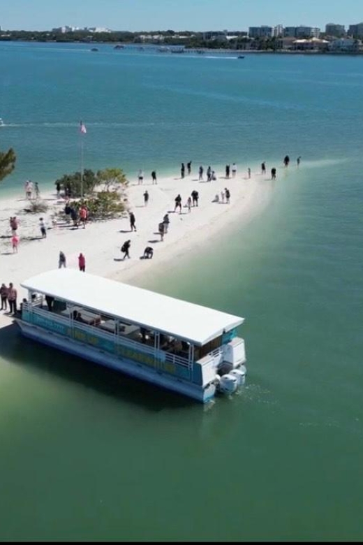 Clearwater Beach: Dolphin and Sandbar Boat Cruise - Experience Highlights