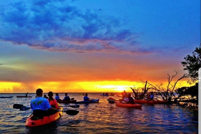 Cocoa Beach Night Time Bioluminescence Kayak Tour - Inclusions and Accommodations