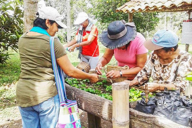 Coffee Farm Experience at Finca El Ocaso From Salento - What To Expect During the Tour