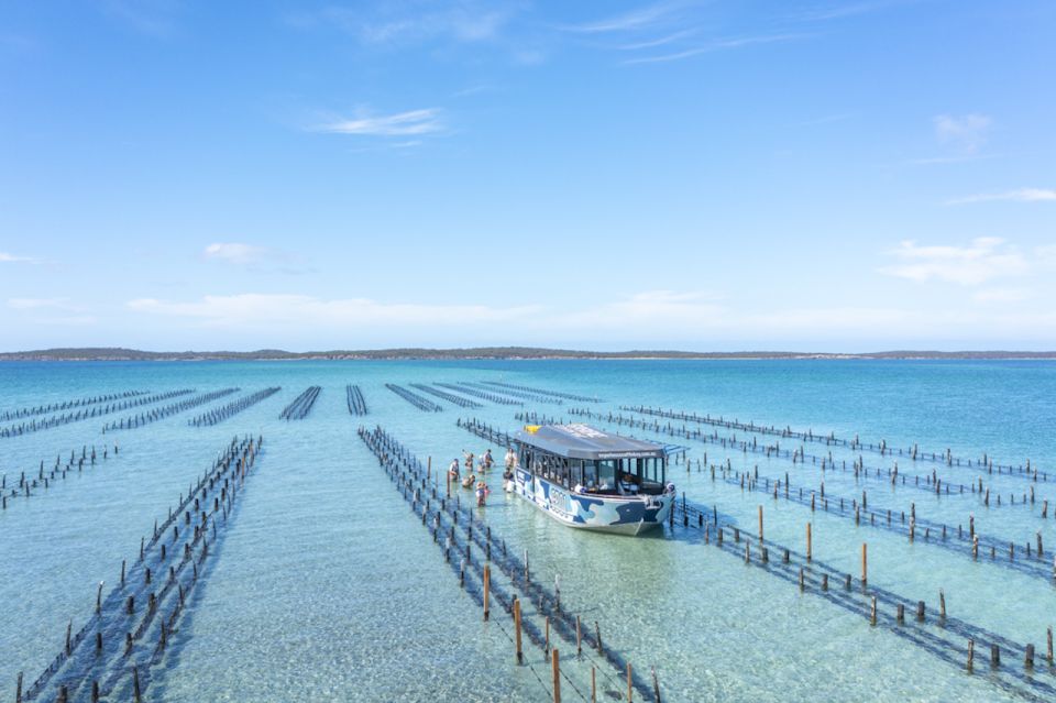 Coffin Bay: Oyster Farm Boat Tour With Wading & 12 Oysters - Itinerary