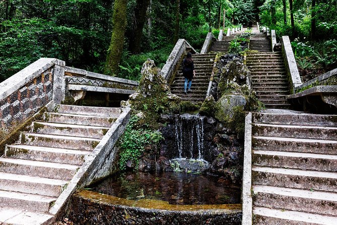 Coimbra Private Half-Day Bussaco Palace Tour - Booking Details and Pricing