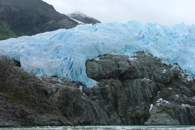 Coloane Marine Park Whale-Watching Boat Trip From Punta Arenas - Booking Information