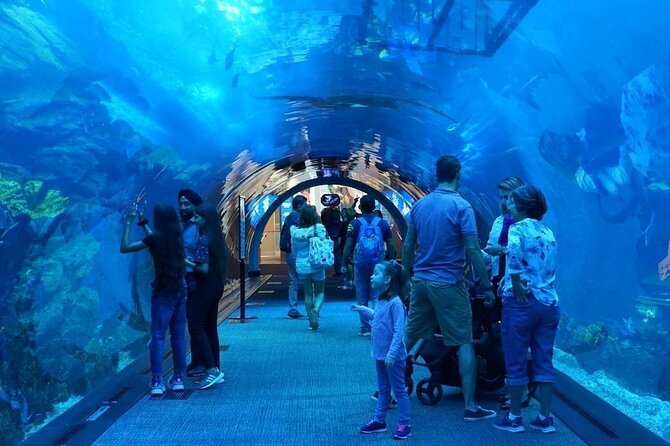 Combo Dubai Mall Aquarium Skyview Observatory Tickets - Pricing