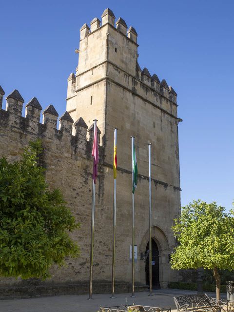 Cordoba: Alcazar Guided Tour and Skip-the-Line Ticket - Experience Highlights