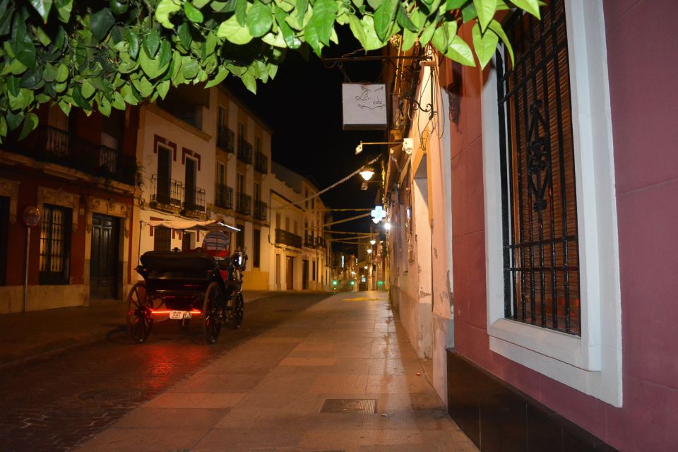 Córdoba by Night Private Tour - Experience Highlights