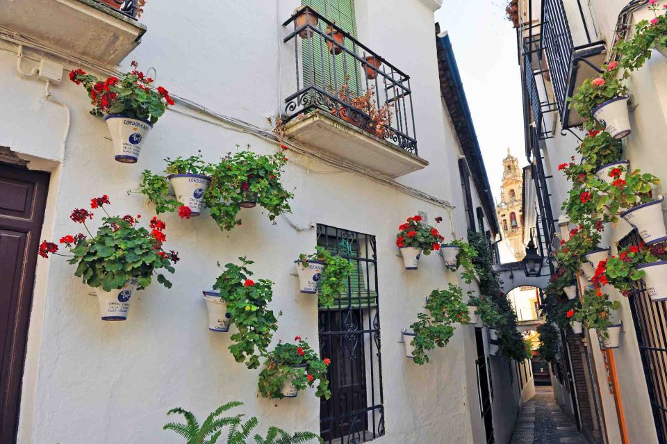 Córdoba: Jewish Quarter & Mosque-Cathedral Walking Tour - Highlights