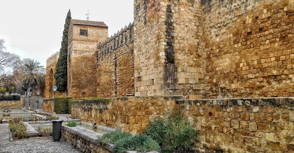 Córdoba: Private Walking Tour - Experience Highlights