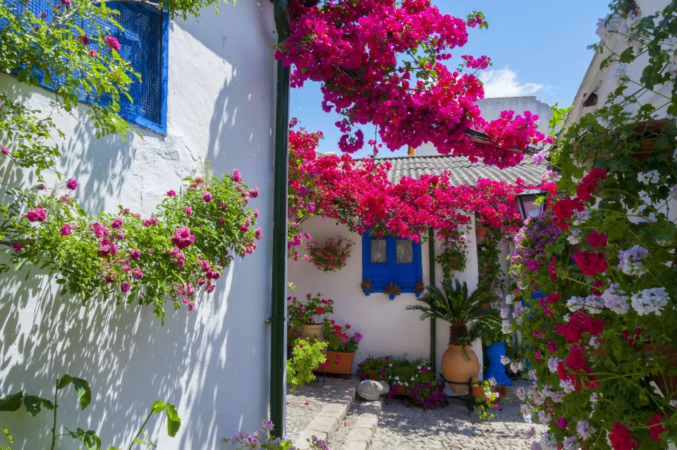 Cordoba's Authentic Patios: 2-Hour Tour With Tickets - Tour Details