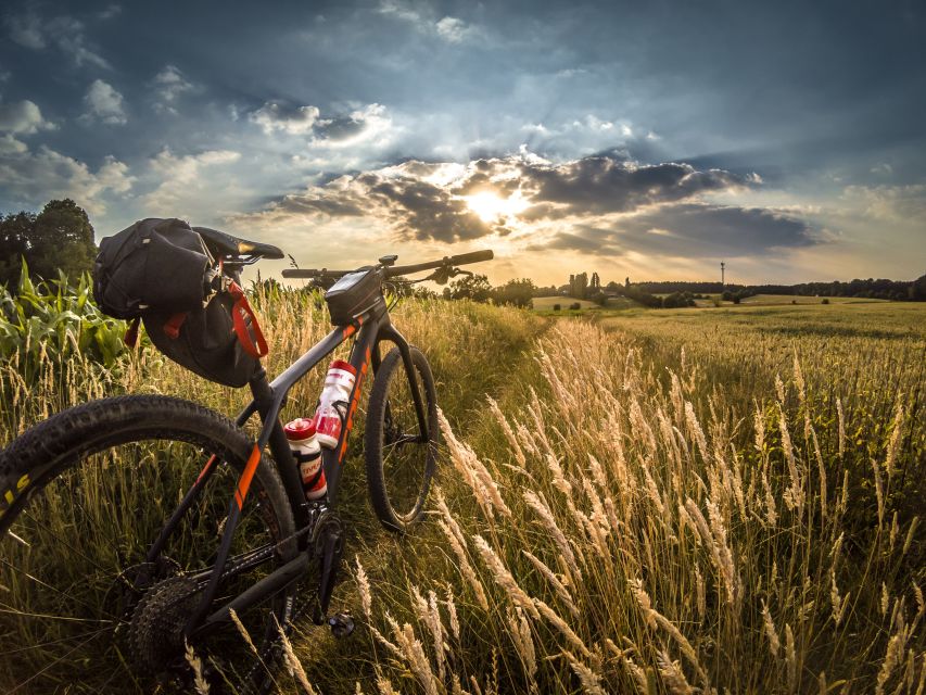 Corfu: Easy Bicycle Tour in the Countryside With Swim Stop - Experience Overview