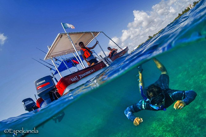 Costa Maya Shallow Reef Snorkeling Tour - Meeting Point and Logistics