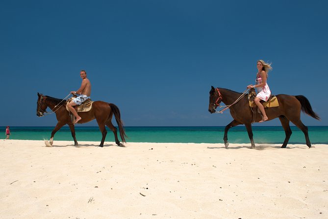 Cozumel Beach Horseback Riding Tour - Logistics