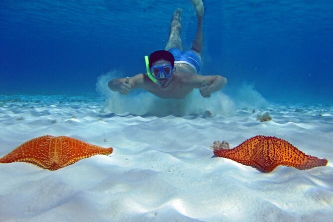 Cozumel Snorkeling Tour to Palancar Reef and El Cielo - Booking Information