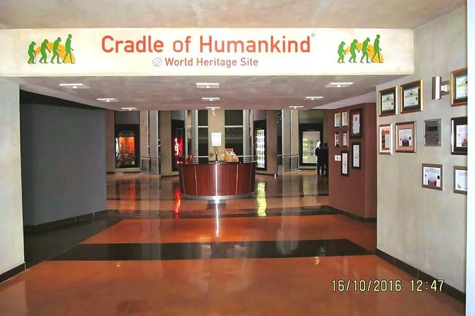 Cradle of Human Kind & Lion & Rhino Park Tour Full Day Tour Private - Itinerary Details