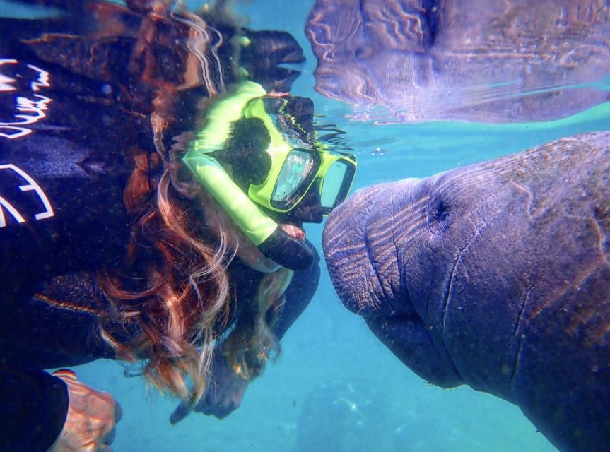 Crystal River: Manatee Swim Group Tour - Experience Highlights