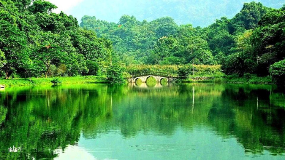 Cuc Phuong Forest - The Forest Of Thousands Of Butterflies - Butterfly Diversity