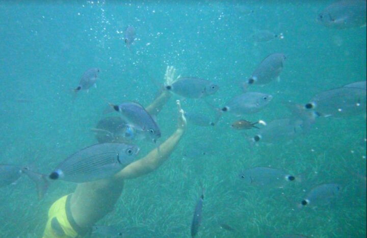 Cullera: Snorkeling and Kayaking Guided Tour - Activity Highlights