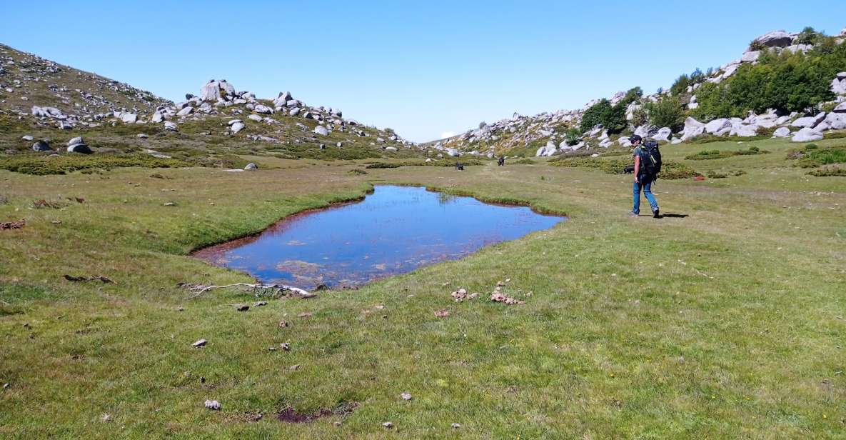 Cuscionu's Plateau, 1000 Waterholes' Grass: Pozzines - Booking and Reservation Details