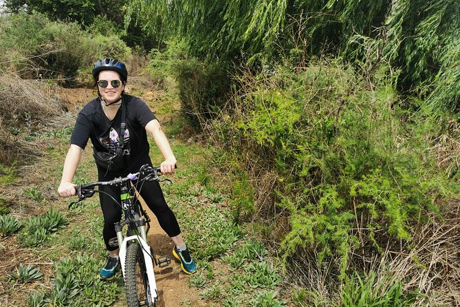 Cycling in a Forest Close to Johannesburg and Pretoria - Reviews and Ratings