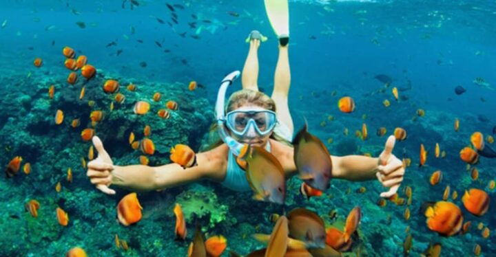 Da Nang/Hoi An: Discovery Cham Island and Snorkeling 1 Day - Booking Information