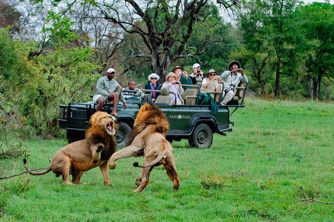 Daily Kruger National Park Safari Private Shuttle - Pickup Instructions and Details